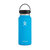 Vacuum Insulated Stainless Steel Water Bottle Wide Mouth With Flex Cap 32 OZ - Blue