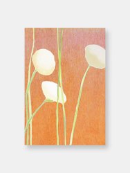 Art Print:  Cream Flowers on Orange - Orange