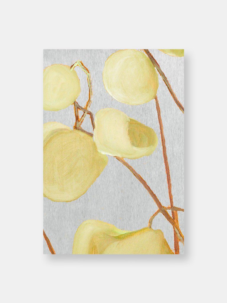 Art Print:  Milkweed on Pale Grey - Grey