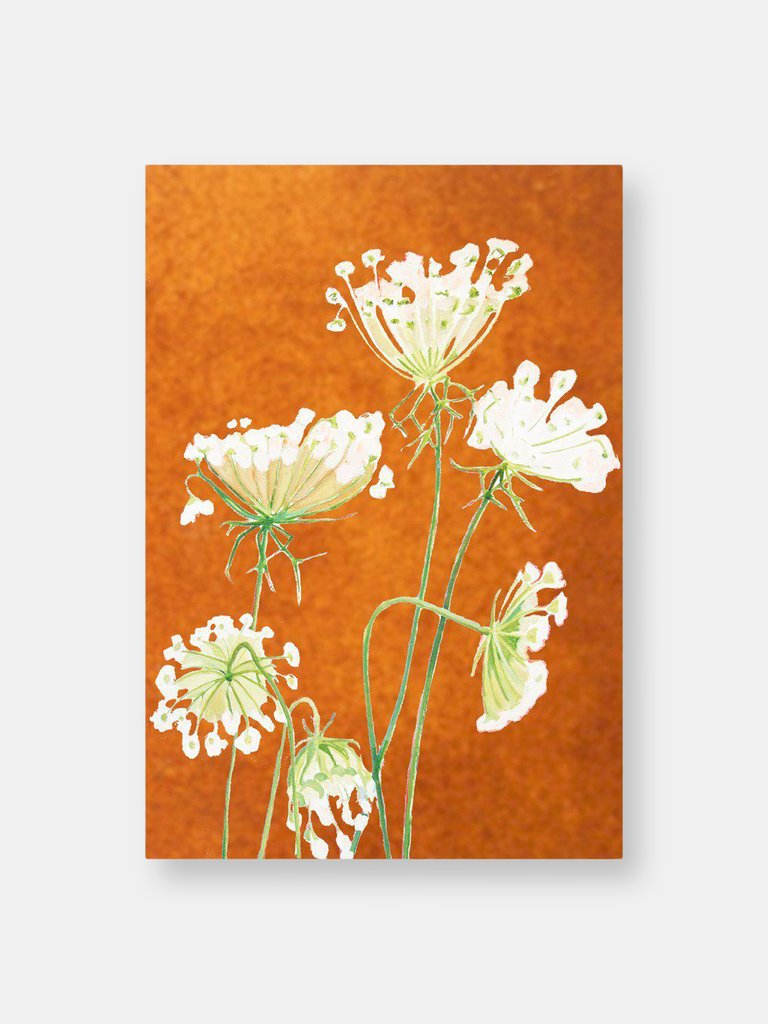 Art Print:  Queen Anne's Lace on Rusty Orange - Rusty Orange