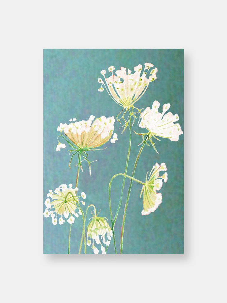 Art Print: Queen Anne's Lace on Teal - Green