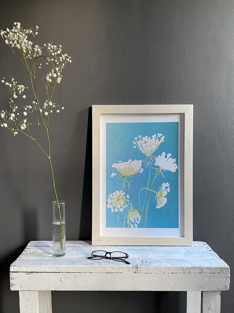 Art Print: Queen Anne's Lace on Teal