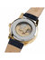 Mens 22601 Gold Stainless Steel Automatic Casual Watch