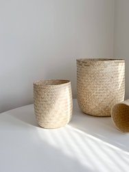 Oaxacan Handwoven Palm Baskets - Beige