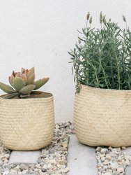 Oaxacan Handwoven Palm Baskets