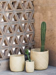 Oaxacan Handwoven Palm Baskets