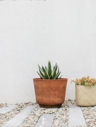 Oaxacan Handwoven Palm Baskets