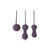 Ami 3 Step Kegel Training Set - Purple