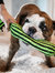 Jolly Pets Knot-N-Chew Rope Dog Toy (Green/Black) (L, XL)
