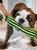 Jolly Pets Knot-N-Chew Rope Dog Toy (Green/Black) (S, M)