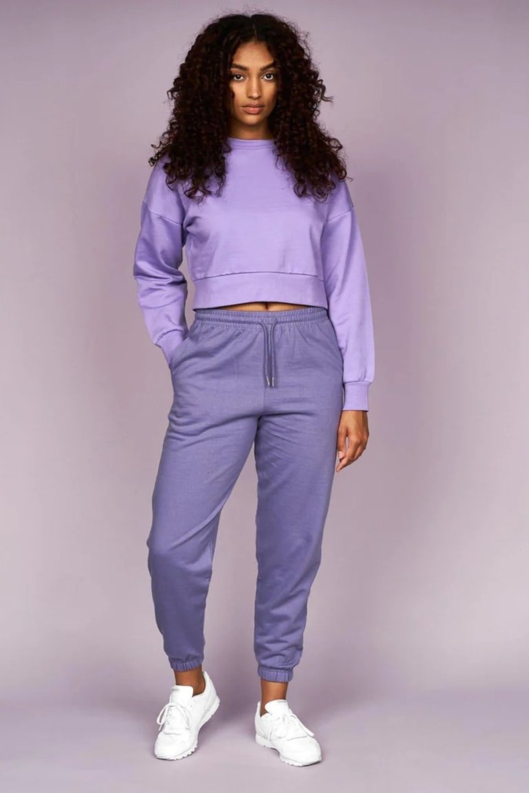 Womens/Ladies Catalina Crew Neck Crop Sweatshirt - Purple