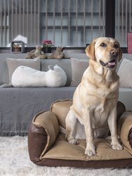 Stark Dog Sofa - Brown