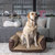 Stark Dog Sofa - Brown