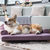 Wickman 2 In 1 Dog Sofa For All Season - Violet