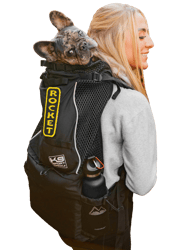 K9 Sport Sack® Knavigate - Midnight Black