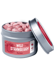90 Toothpaste Tablets with Wild Strawberry (3 month supply)