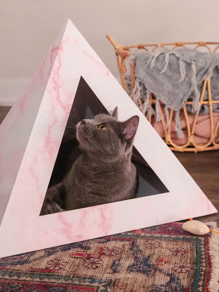 Cardboard Cat Pyramid