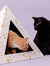 Cardboard Cat Pyramid