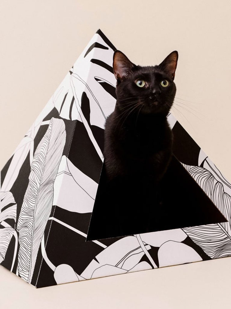 'Dark Paradise' Cardboard Cat Pyramid - Dark paradise