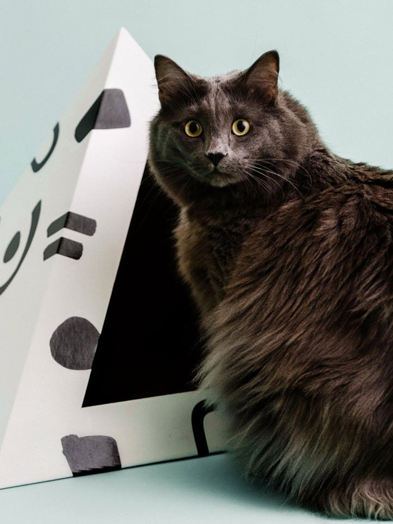 'Doodle' Cardboard Cat Pyramid - White