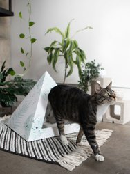 'Oasis' Cardboard Cat Pyramid