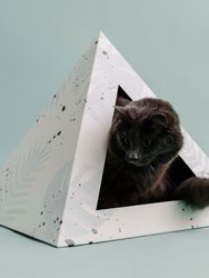 'Oasis' Cardboard Cat Pyramid