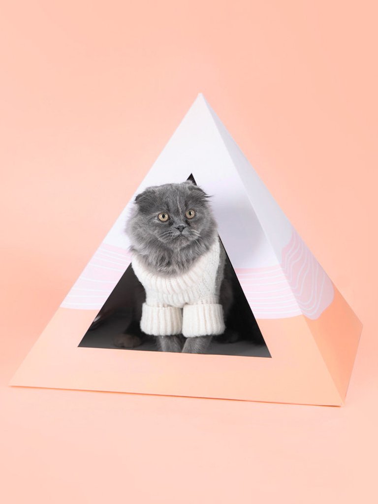 'Wavey' Cardboard Cat Pyramid