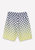 Men's Ombre Checker Shorts