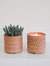 Hand Etched Terracotta Garden Pot Candle