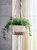 Jhuri Single Hanging Basket