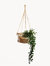 Jhuri Single Hanging Basket - Natural