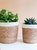 Savar Plant Basket - Natural/White