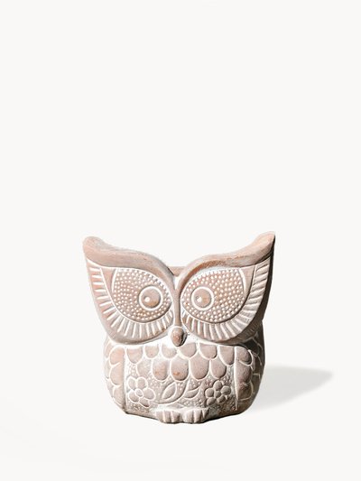 KORISSA Terracotta Pot - Big Eye Owl product