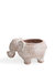 Terracotta Pot - Elephant
