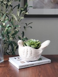Terracotta Pot - Turtle Dove