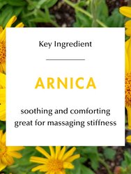 Arnica Botanically Infused Body Care Oil