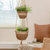 Darcy Beige Pots