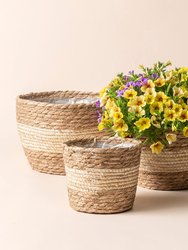 Darcy Beige Pots - Beige