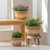 Darcy Beige Pots