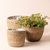 Darcy Brown Pots - Darcy Brown