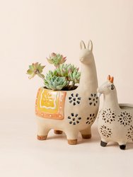 Lamas Orange Pots - Orange