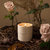 Lucienne Scented Candle - Wild Rose