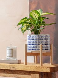 Papillon Blue Pot