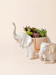 Tuskersthai White Elephant Pots - 8.6 + 5.9 Inch - White