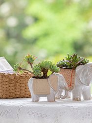 Tuskersthai White Elephant Pots - 8.6 + 5.9 Inch