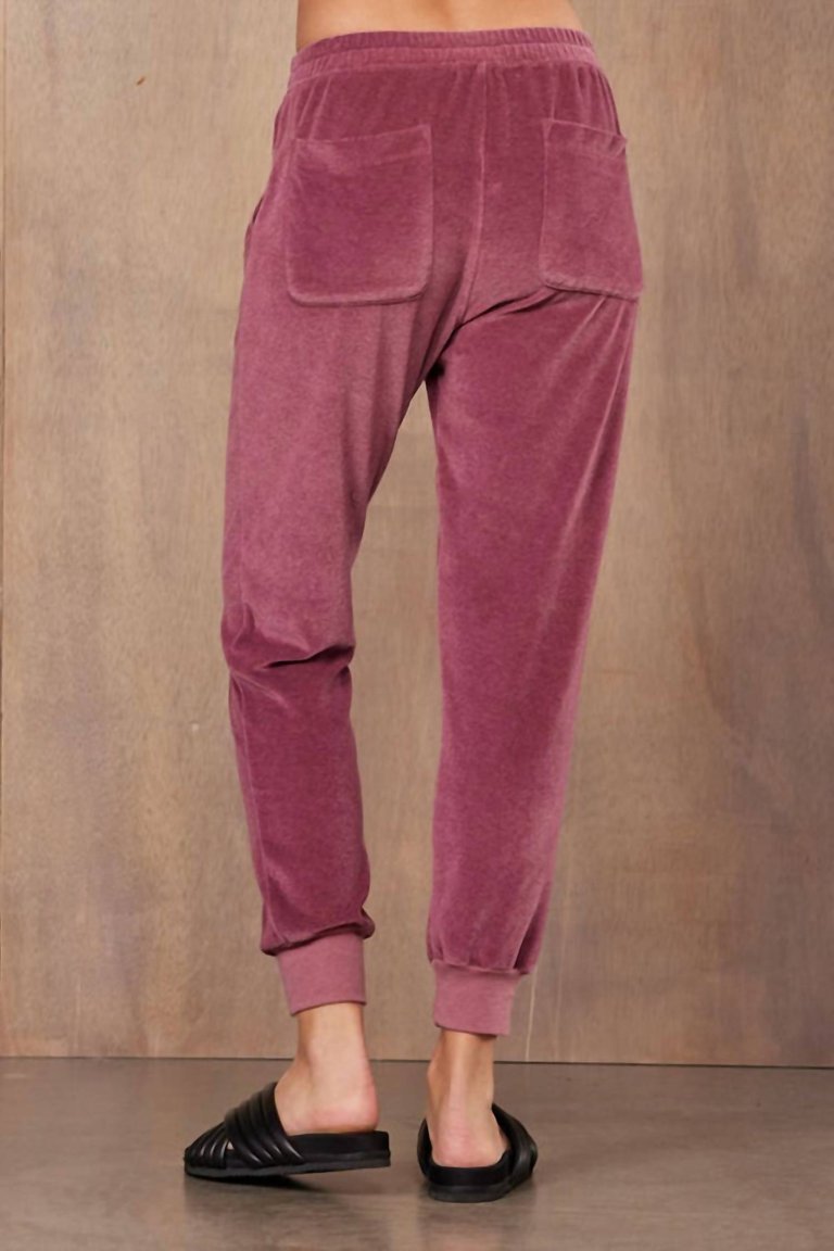 Jett Jogger In Beet