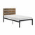 Basseri Black Metal Frame Platform Bed