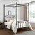 Crosby Black Metal Frame Twin Canopy Bed