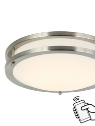 Smart Alexa Ceiling Light