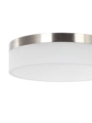 Smart Alexa Ceiling Light